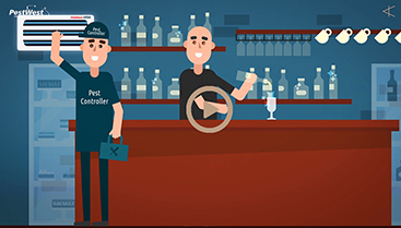 Pest West 2d animation explainer video