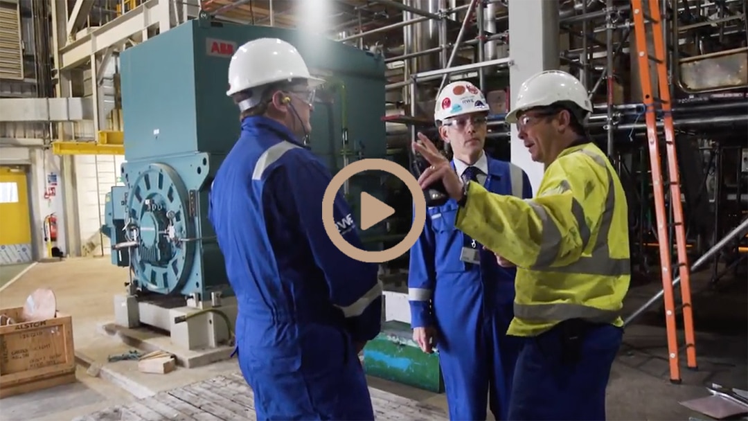 RWE 2D Animated Video