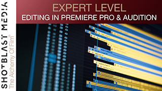 How to edit in Premiere Pro & Audition: Expert level 5
